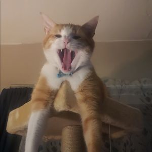 Meet your Posher, Beverly